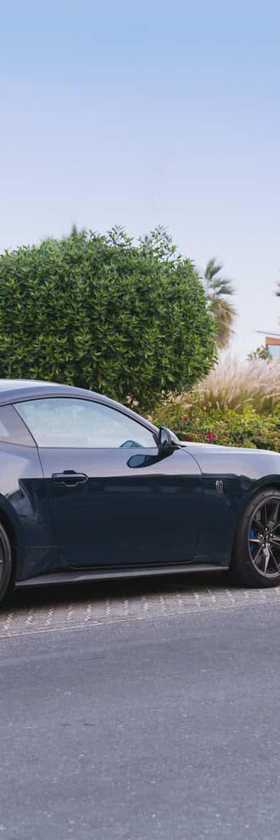 2024 Ford Mustang Dark Horse