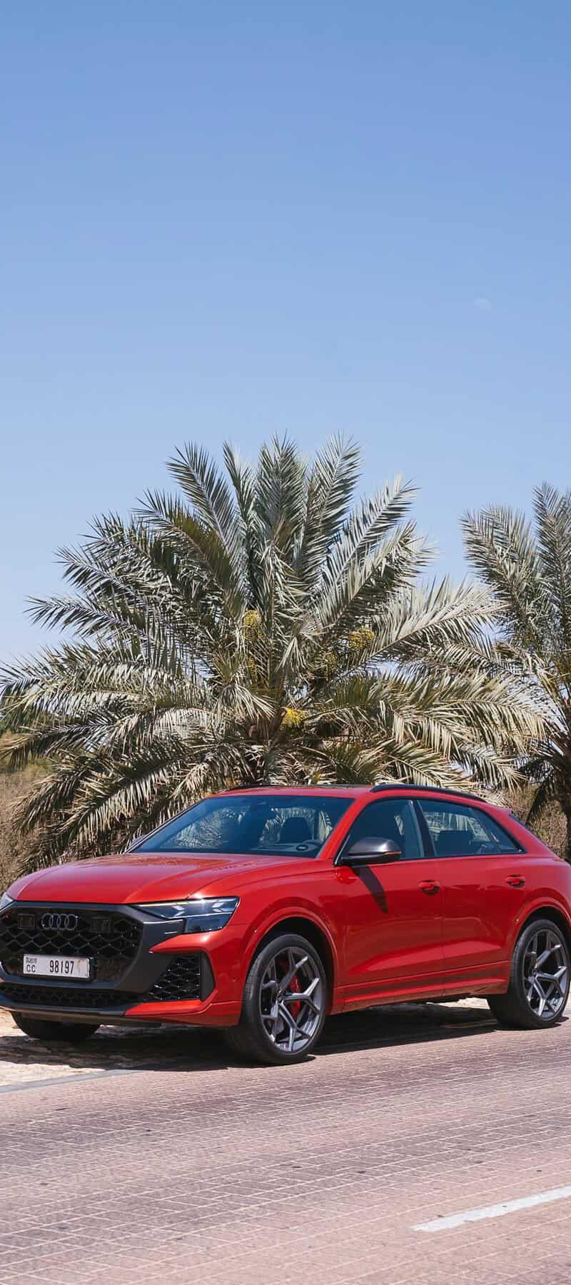 2025 Audi RS Q8